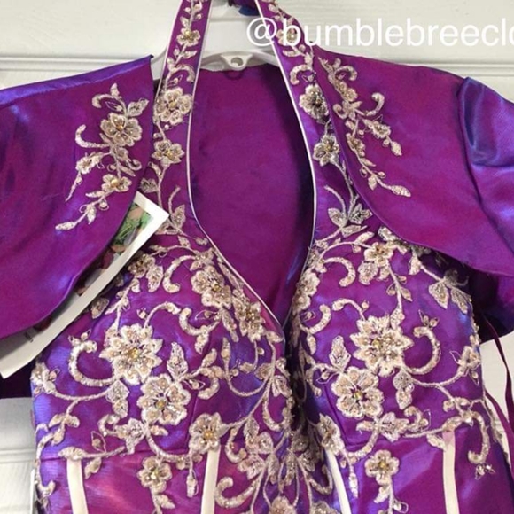 Brand New Never Worn Quince/Sweet 16 Dress - Picture 6 of 6